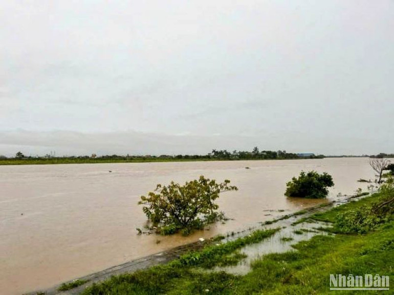 Nhiều tuyến sông, kênh mương ở Thái Bình nước dâng cao.