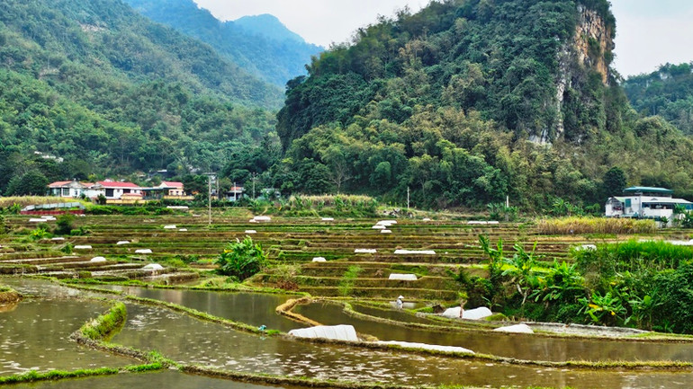 Thung lũng canh tác lúa nước ở vùng thượng du Thanh Hóa.
