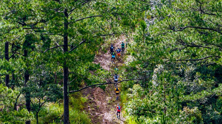 Các vận động viên tham gia tranh tài trên những cung đường chạy xuyên qua những cánh rừng tại cao nguyên Langbiang. (Ảnh: Các vận động viên chạy thử các cung đường trước khi diễn ra giải).