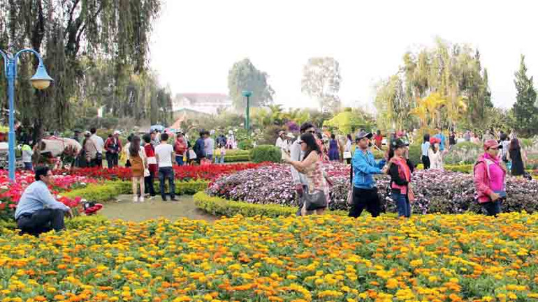 Du khách đến với thành phố ngàn hoa Đà Lạt.