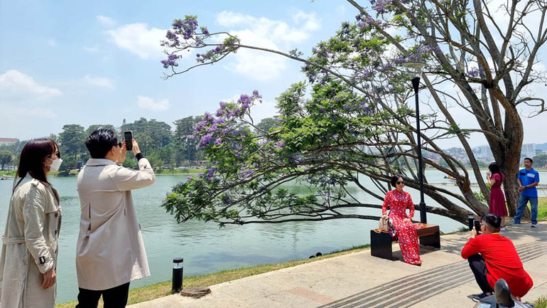 Đà Lạt mùa hoa phượng tím.