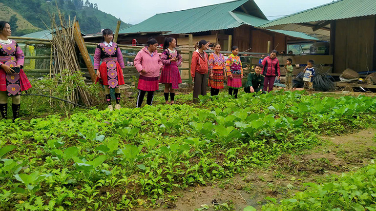 Phụ nữ dân tộc H'Mông tham quan mô hình vườn rau sạch ở xã Tam Chung, huyện Mường Lát.