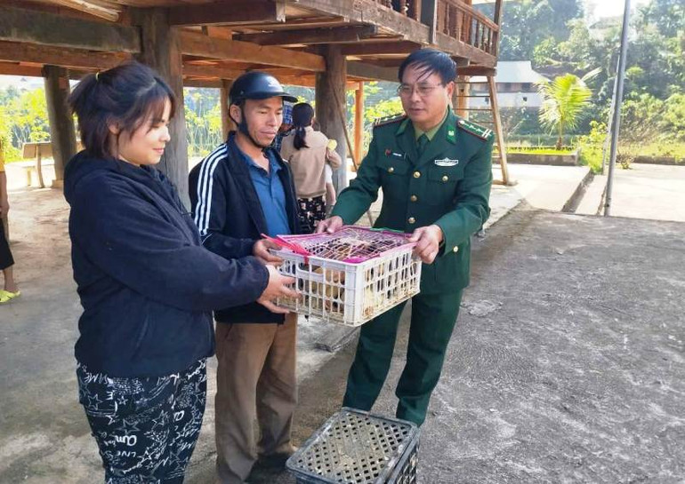Bộ đội Biên phòng Yên Khương ở huyện Lang Chánh trao tặng vịt giống cho nông hộ chăn nuôi.