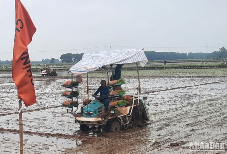 Khoảng 40% diện tích gieo cấy của xã Bình Định (huyện Kiến Xương, tỉnh Thái Bình) được thực hiện bằng máy móc hiện đại.