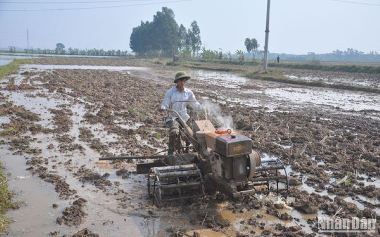 Khâu làm đất ở tỉnh Thái Bình được cơ giới hóa đạt tỷ lệ gần 100%.