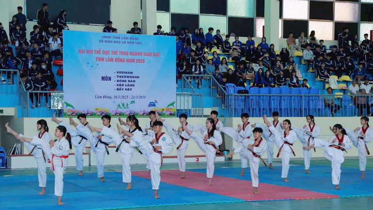 Các học sinh biểu diễn võ thuật tại đại hội.