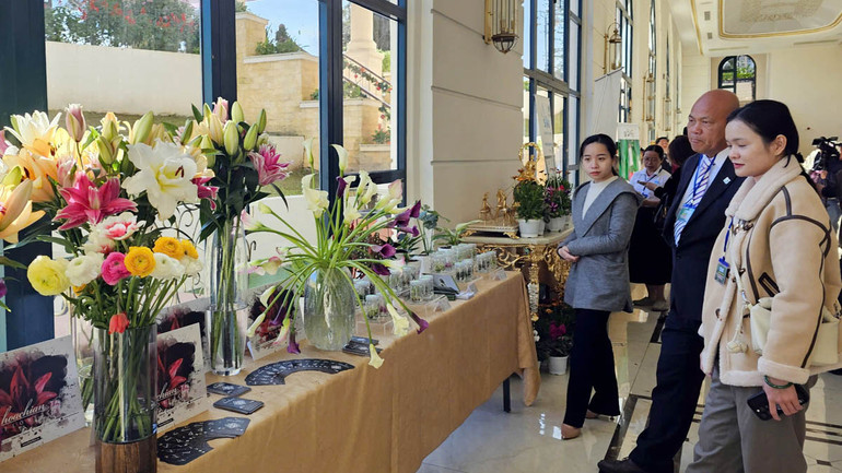 Các loài hoa mới được trưng bày tại không gian buổi tọa đàm.