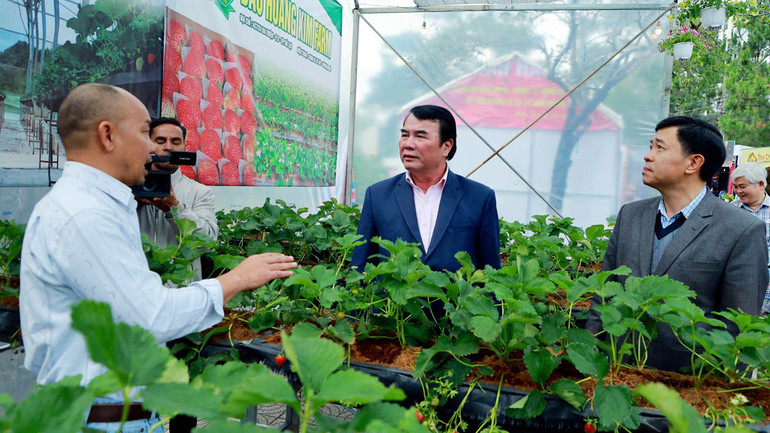 Phó Chủ tịch Ủy ban nhân dân tỉnh Lâm Đồng Phạm S (giữa) cùng lãnh đạo Sở Văn hóa, Thể thao và Du lịch Lâm Đồng trong không gian giới thiệu quy trình canh tác dâu tây tại phố rượu vang, trà, cà-phê và đặc sản Đà Lạt - Lâm Đồng. Phó Chủ tịch Ủy ban nhân dân tỉnh Lâm Đồng Phạm S (giữa) cùng lãnh đạo Sở Văn hóa, Thể thao và Du lịch Lâm Đồng trong không gian giới thiệu quy trình canh tác dâu tây tại phố rượu vang, trà, cà-phê và đặc sản Đà Lạt - Lâm Đồng.