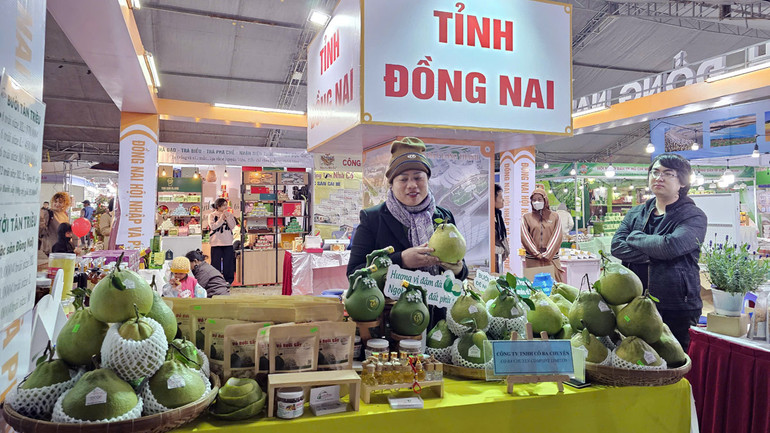 Giới thiệu đặc sản bưởi Tân Triều tại chương trình.