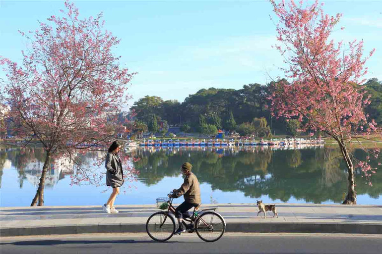 Nắng sớm. (Ảnh: Trương Ngọc Thụy)