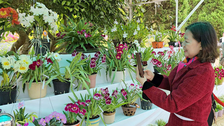 Du khách tham quan Vườn hoa thành phố Đà Lạt.