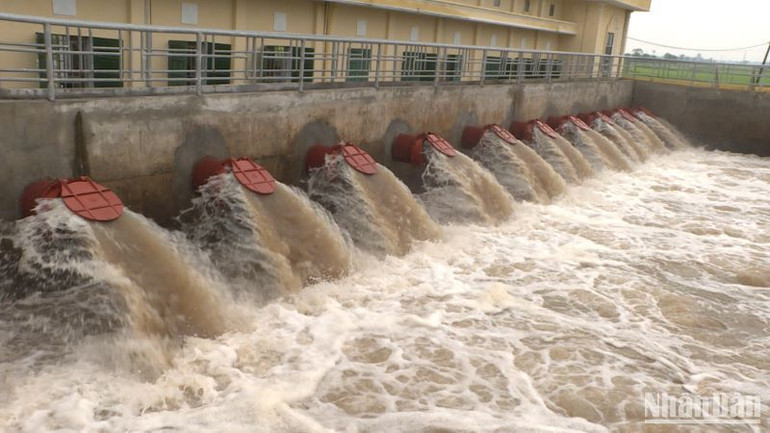 Các trạm bơm trên địa bàn tỉnh Thái Bình thực hiện tiêu nước triệt để trong hệ thống để bảo vệ lúa mới cấy, rau màu đã trồng.