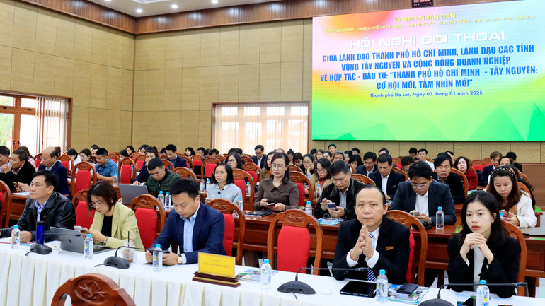 Các đại biểu tham dự hội nghị.