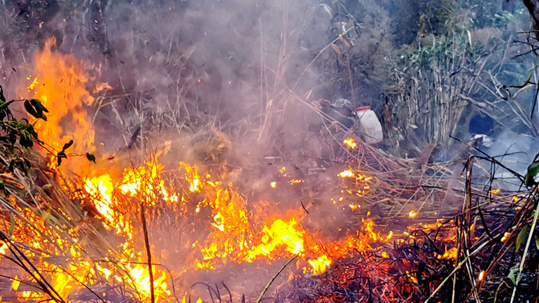 Thảm thực bì khô nhanh chóng bắt lửa gây cháy lan.