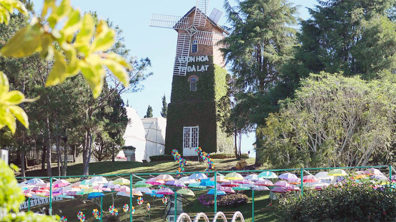 Không gian sắc màu trong khuôn viên Vườn hoa thành phố Đà Lạt.