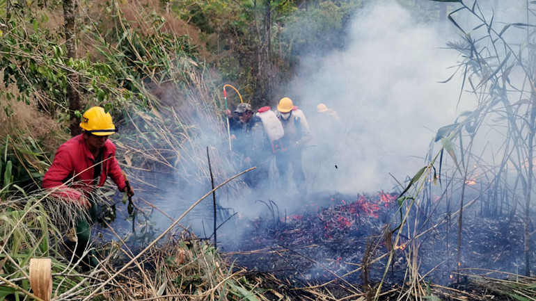 Các lực lượng nỗ lực triển khai chữa cháy.