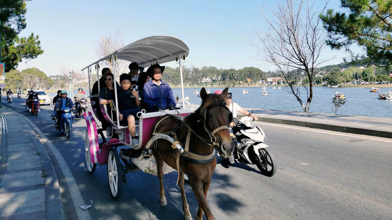 Du ngoạn xe ngựa quanh hồ Xuân Hương.