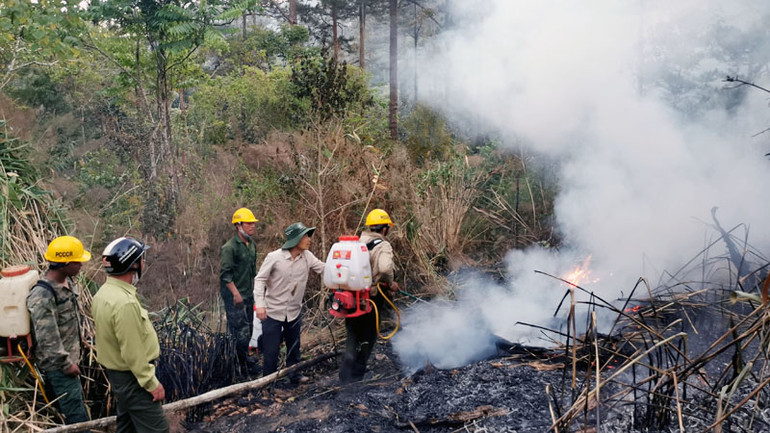 Sau nỗ lực dập lửa của các lực lượng, đám cháy cơ bản được khống chế.
