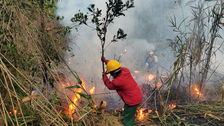 Khu vực xảy ra cháy có địa hình phức tạp nên công tác chữa cháy gặp nhiều khó khăn.