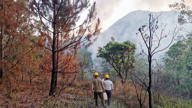 Khói bao trùm tại khu vực xảy ra vụ cháy.