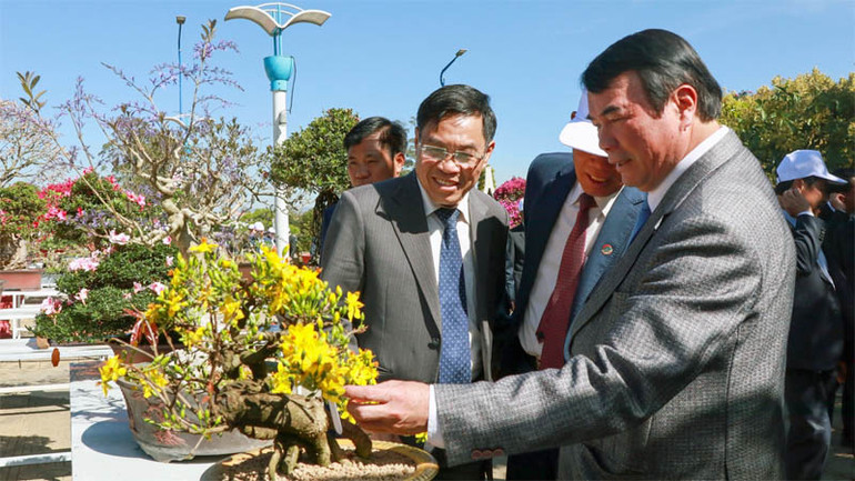 Các đại biểu tham quan khu vực trưng bày và tổ chức thi bonsai, bonsai hoa trái.