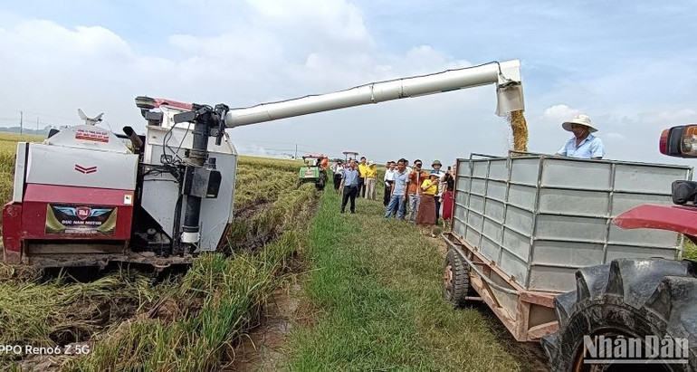 Khâu thu hoạch lúa ở Thái Bình sử dụng cơ giới hóa đạt tỷ lệ gần 100%. Khâu thu hoạch lúa ở Thái Bình sử dụng cơ giới hóa đạt tỷ lệ gần 100%.