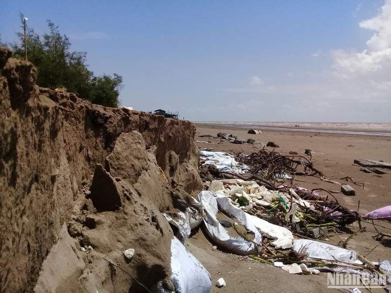 Hiện tượng xói lở, xâm thực bờ biển tại Cồn Vành diễn ra nhanh hơn.