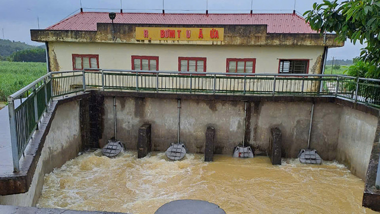 Công ty thủy nông vận hành trạm bơm tiêu thoát nước.