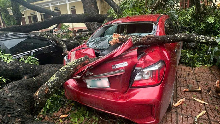 Cành cây xà cừ gãy, đè lên ô-tô của giáo viên.