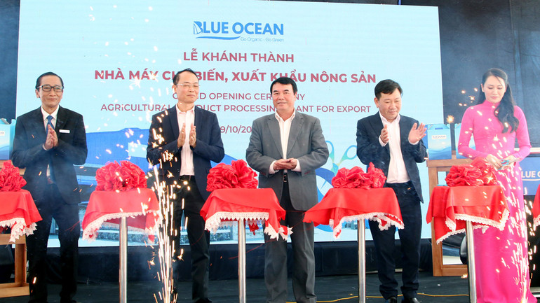 Các đại biểu thực hiện nghi thức khánh thành nhà máy chế biến trái cây đông lạnh tại Lâm Đồng.