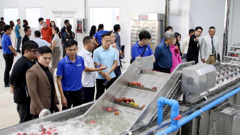 Đại biểu tham quan dây chuyền sản xuất tại Blue Ocean JSC.