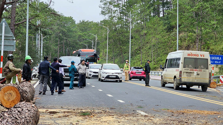 Vị trí cây thông ngã ngay đầu cầu Datanla. Vị trí cây thông ngã ngay đầu cầu Datanla.