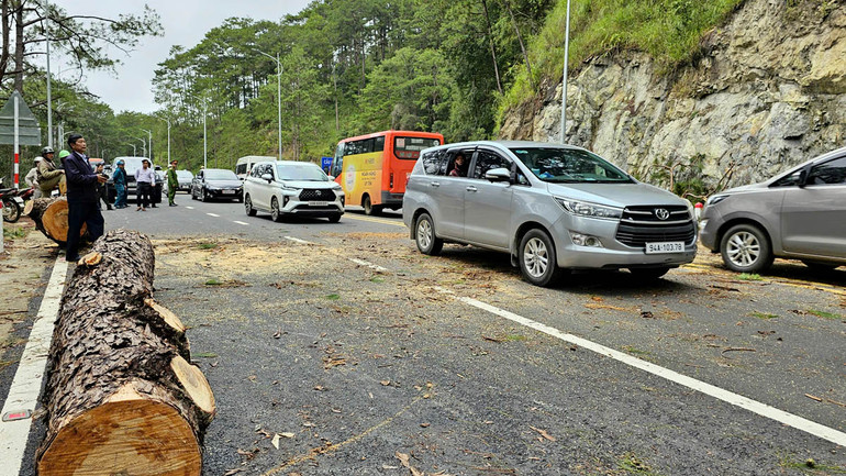 Giao thông trên đèo Prenn trở lại bình thường sau hơn 1 giờ lực lượng chức năng khẩn trương giải phóng hiện trường. Giao thông trên đèo Prenn trở lại bình thường sau hơn 1 giờ lực lượng chức năng khẩn trương giải phóng hiện trường.