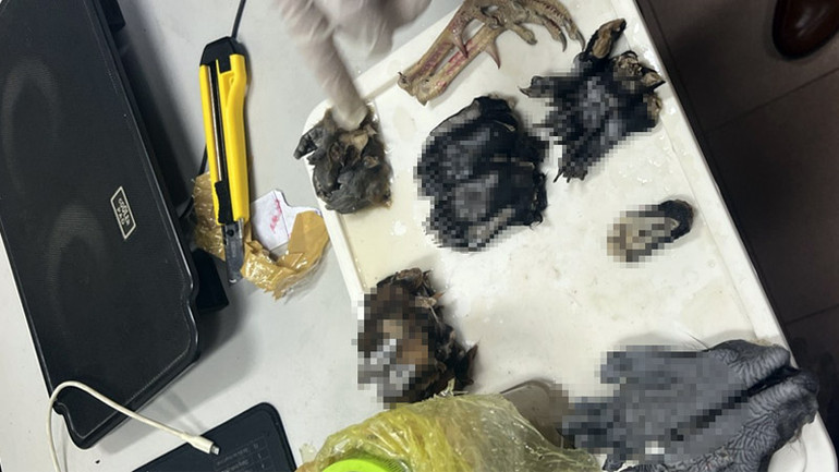 Tang vật vụ án.