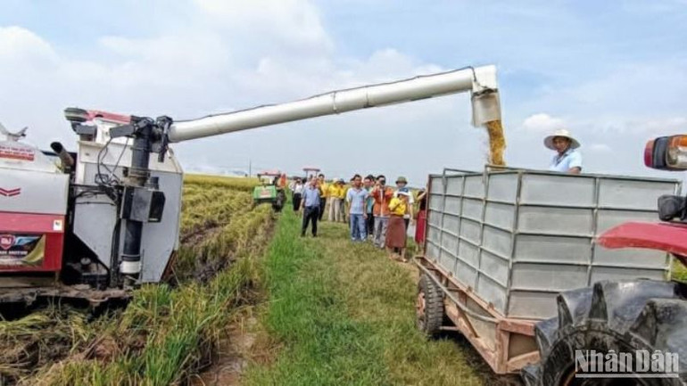 Ngành nông nghiệp ở Thái Bình sẽ được tái cơ cấu, hỗ trợ liên kết sản xuất, đưa cơ giới hóa nhiều hơn vào quá trình hoạt động.