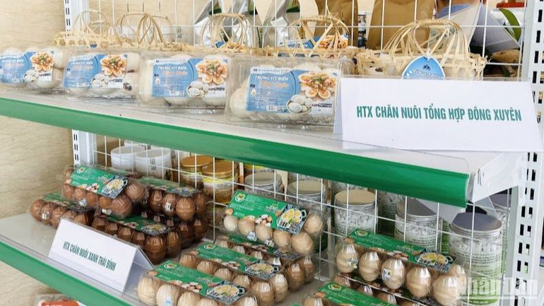 Sản phẩm OCOP 4 sao trứng vịt biển Đông Xuyên (huyện Tiền Hải) được tiêu thụ mạnh trong các hệ thống siêu thị toàn quốc.