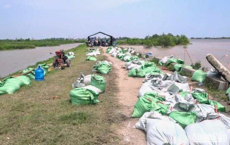 Xử lý giờ đầu sự cố kè Nội Lang giáp sông Hồng ngày 18/9/2024 tại huyện Tiền Hải, tỉnh Thái Bình.