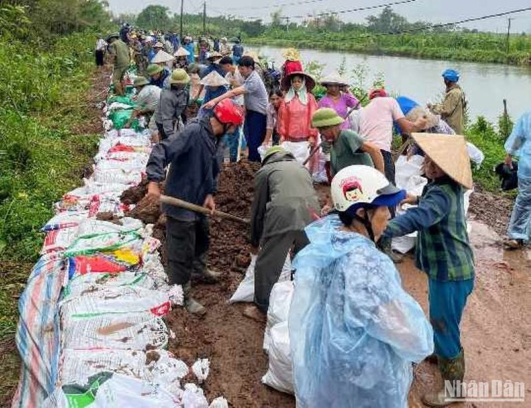 Vũ Thư là địa phương xuất hiện nhiều sự cố rò rỉ, thẩm lậu trên tuyến đê điều trong bão số 3 vừa qua.