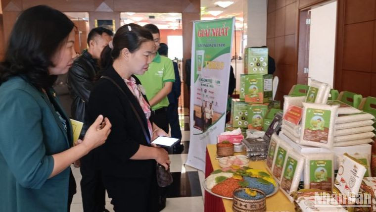 Các sản phẩm OCOP, sản phẩm chủ lực tiêu biểu ở tỉnh Thái Bình đang góp phần tạo thương hiệu mạnh, thúc đẩy tiêu thụ trên thị trường và quảng bá tốt hình ảnh cho địa phương.