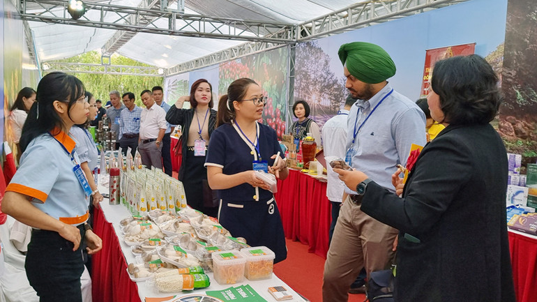 Doanh nghiệp Ấn Độ tìm hiểu sản phẩm nông nghiệp tại không gian trưng bày trong khuôn khổ chương trình. Doanh nghiệp Ấn Độ tìm hiểu sản phẩm nông nghiệp tại không gian trưng bày trong khuôn khổ chương trình.