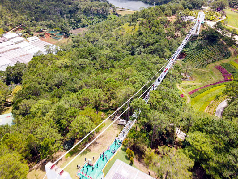 Cầu kính Ngàn Thông nối khu du lịch Đồi Mộng mơ và Thung lũng Tình yêu.