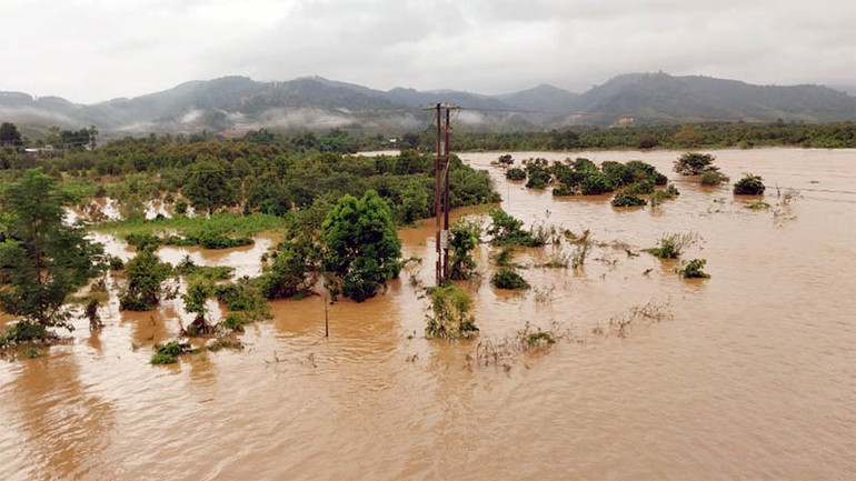 Mưa lớn khiến nhiều diện tích cây trồng tại xã Đạ Oai, huyện Đạ Huoai bị ngập nặng. Mưa lớn khiến nhiều diện tích cây trồng tại xã Đạ Oai, huyện Đạ Huoai bị ngập nặng.