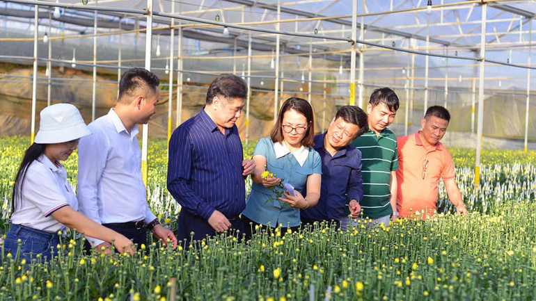 Đoàn công tác Trung tâm Khuyến nông Quốc gia thăm mô hình sản xuất hoa công nghệ cao tại thành phố Đà Lạt, tỉnh Lâm Đồng.
