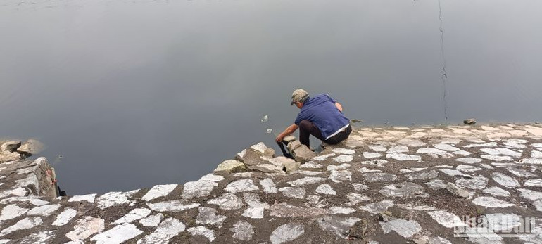 Người dân xuống vớt cá chết, ốc chết nổi lên mặt nước nhuốm bẩn.