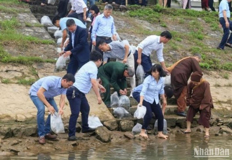 Có 10 nghìn con giống tự nhiên gồm cá trắm, cá chép được thả trên sông Trà Lý (thành phố Thái Bình). Có 10 nghìn con giống tự nhiên gồm cá trắm, cá chép được thả trên sông Trà Lý (thành phố Thái Bình).