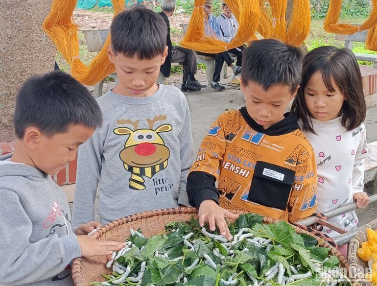 Những đứa trẻ ở đây, tuổi ấu thơ đã gắn chặt với nghề, với những nong tằm.