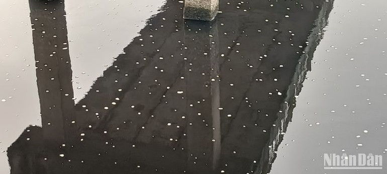 Nước đen ngòm kèm bọt sủi trắng nhìn thấy rõ dưới chân cầu Đa Sô trên sông Kiến Giang.