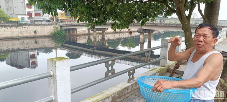 Ông Trần Văn Đặng ở thôn Tân An, xã Song An (huyện Vũ Thư) cho hay, cách đây 20 ngày, sông Kiến Giang cũng trong tình trạng này và tính từ đầu năm 2024 đến nay thì đây là lần thứ 3 nước bẩn được xả thẳng ra sông.