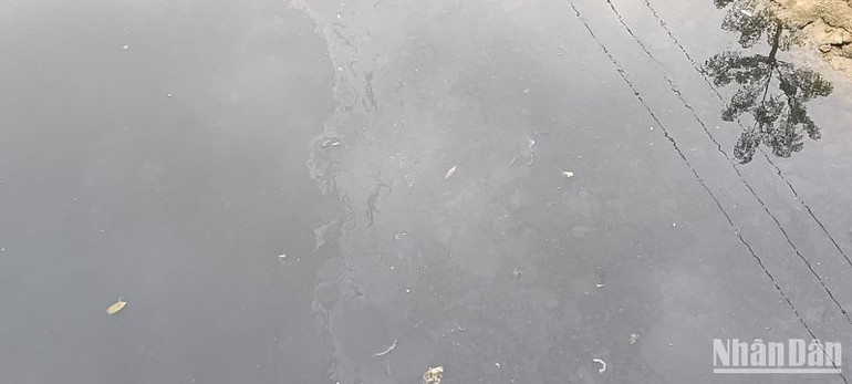 Mùi hôi thối bốc lên nồng nặc, mặt sông nổi váng dầu loang.