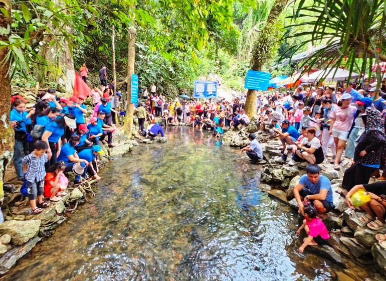 Suối cá Cẩm Lương, điểm đến của du khách. Suối cá Cẩm Lương, điểm đến của du khách.